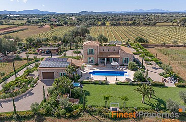 Preciosa finca de nueva construcción con viñedo y olivar en venta