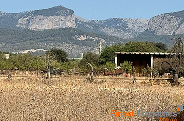 Parcela de 47.000m² cerca de Inca para nueva villa en venta