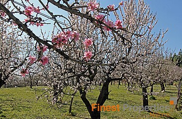 Varios proyectos de construcción que ofrecemos fuera de online