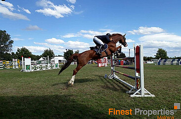 Riding facility in Mallorca for sale