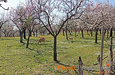 Boutique hotel en venta