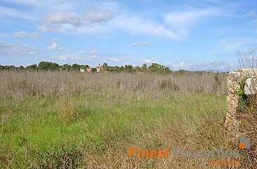 Parcela de 50.000 m² con proyecto al lado del campo de golf de Son Antem en Llucmajor