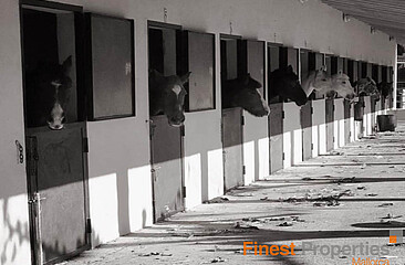 Instalación ecuestre con 40 cuadras para caballos y 15 potreros por alquilar cerca de Palma